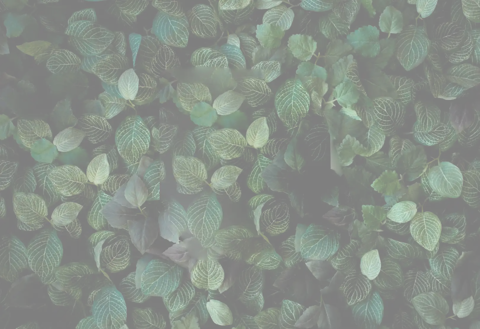 Footer Background